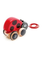 E0362_HP Игрушка Каталка "Божья коровка", фото 1