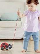 E0362_HP Игрушка Каталка "Божья коровка", фото 2