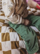 W24-1515/Evergreen Штаны SPROET & SPROUT мальчики, фото 2 W24-1515/Evergreen Штаны SPROET & SPROUT мальчики, фото 2