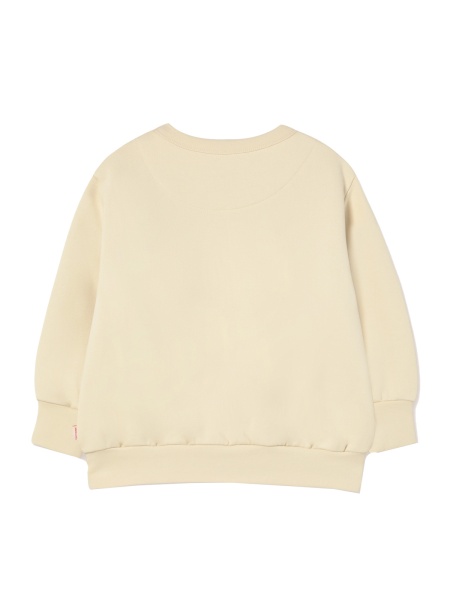 AW25-284/M01 Толстовка Tiny Cottons, фото 2